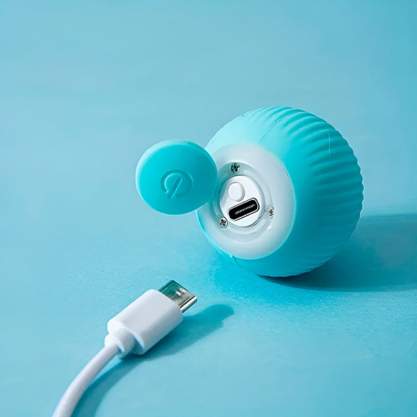 Automatyczna piłka dla psa i kota, ładowana przez USB