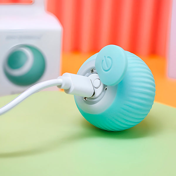 Automatyczna piłka dla psa i kota, ładowana przez USB